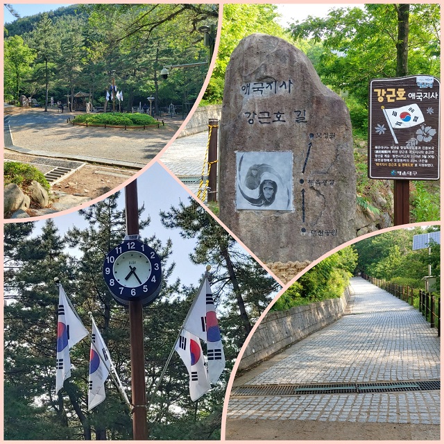 체육공원 강근호길, 태극기